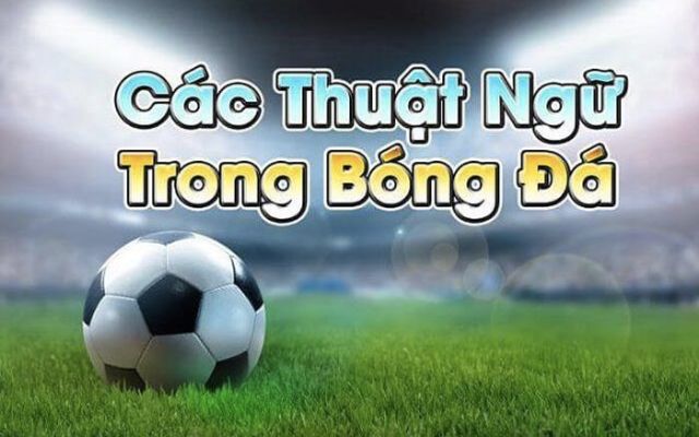 1001+ Thuật Ngữ Cá Độ Bóng Đá Bạn Nên Nắm Rõ 2 Cần hiểu được những thuật ngữ cá độ bóng đá