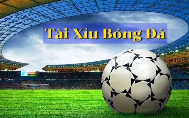 Tài Xỉu 2 Trái Là Sao? Bí Quyết Chơi Tài Xỉu Cực Chuẩn 1 Thế nào là kèo Tài xỉu 2 trái?