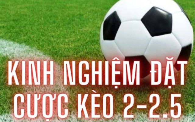 Kèo Chấp 2 2.5 Là Gì? Cách Đặt Cược Kèo Chấp 2 2.5 Hiệu Quả 4 Kinh nghiệm đặt kèo 2 2.5 trái bất bại