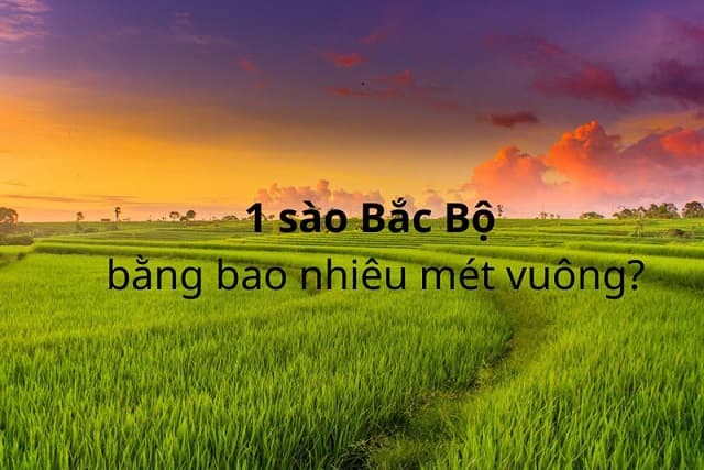                                         1 sào bắc bộ bằng 360 m2