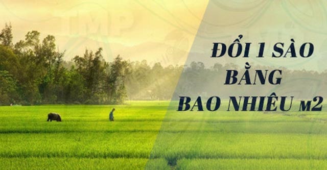                       1 sào bằng bao nhiêu m2 còn tùy thuộc vào vùng miền