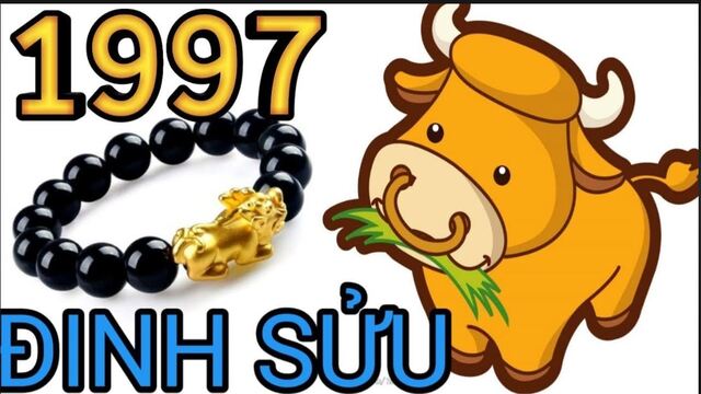 Gia chủ sinh năm 1997 theo bạn thuộc tuổi con gì?