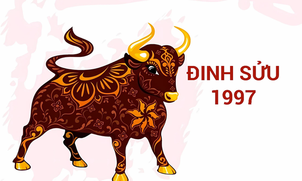 1997 hợp tuổi nào? – Giải đáp thắc mắc cho gia chủ tuổi Đinh Sửu